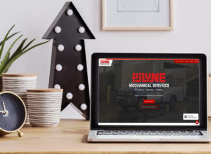 Payne-website-design