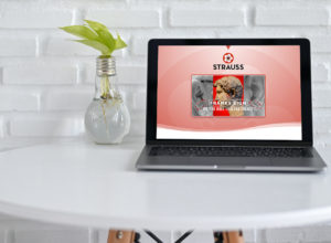 strauss-websitedesign